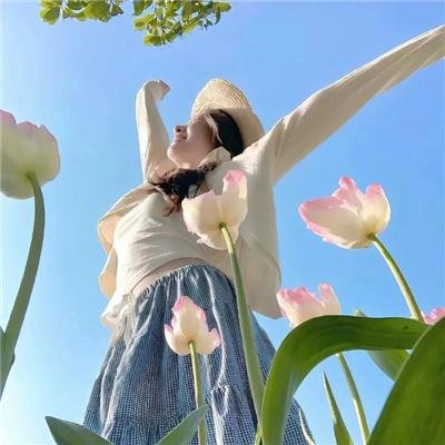 太空终界第三季