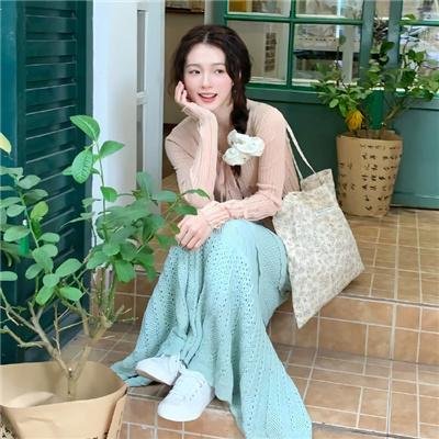 第一夫人的逆袭