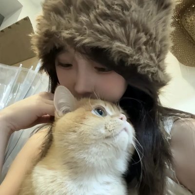 节日的准备